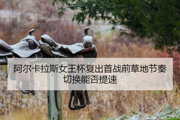 a-er-ka-la-si-nv-wang-bei-fu-chu-shou-zhan-qian-cao-di-jie-zou-qie-huan-neng-fou-ti-su-2-577.jpg